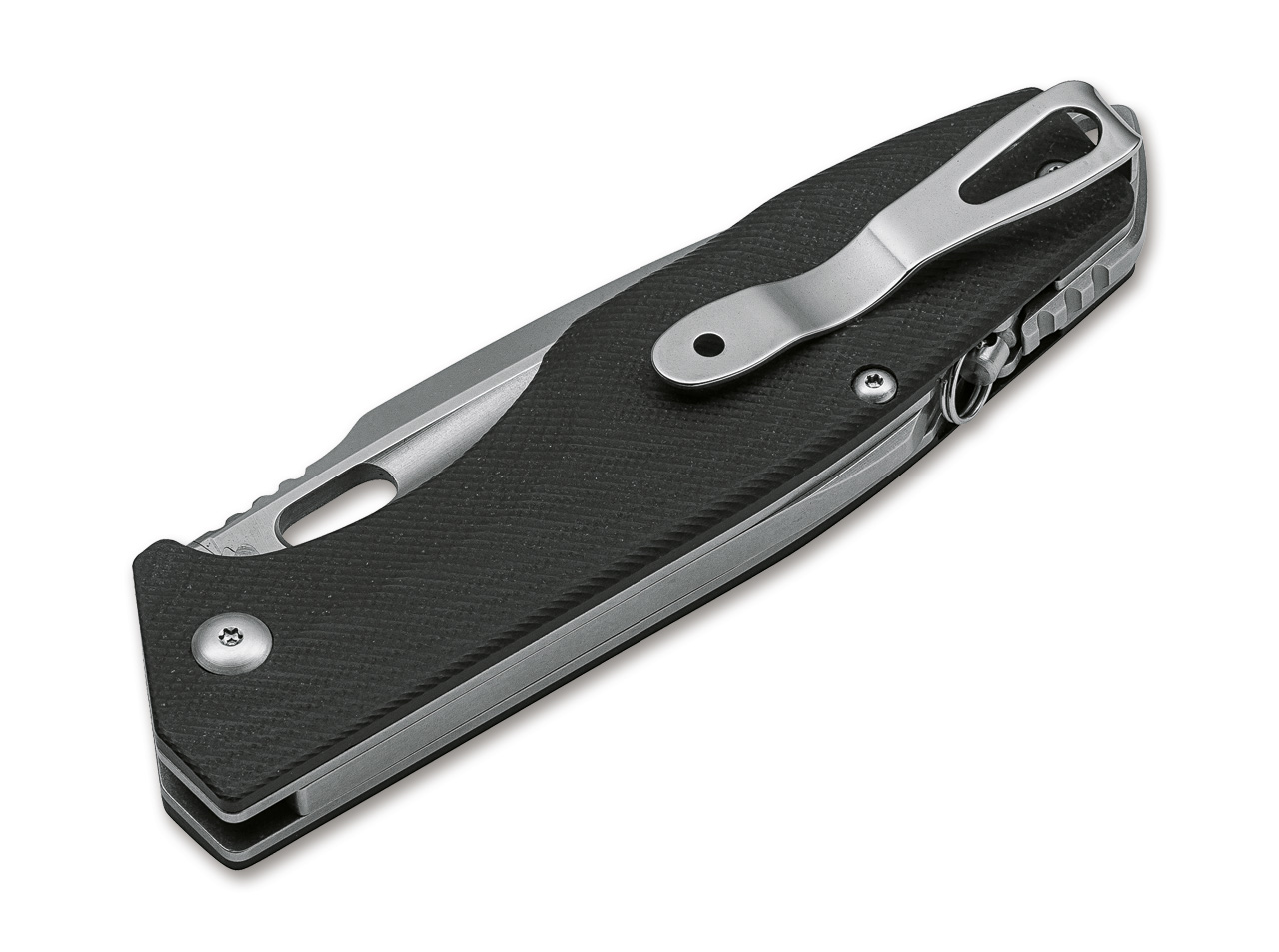 Caracal Folder 42