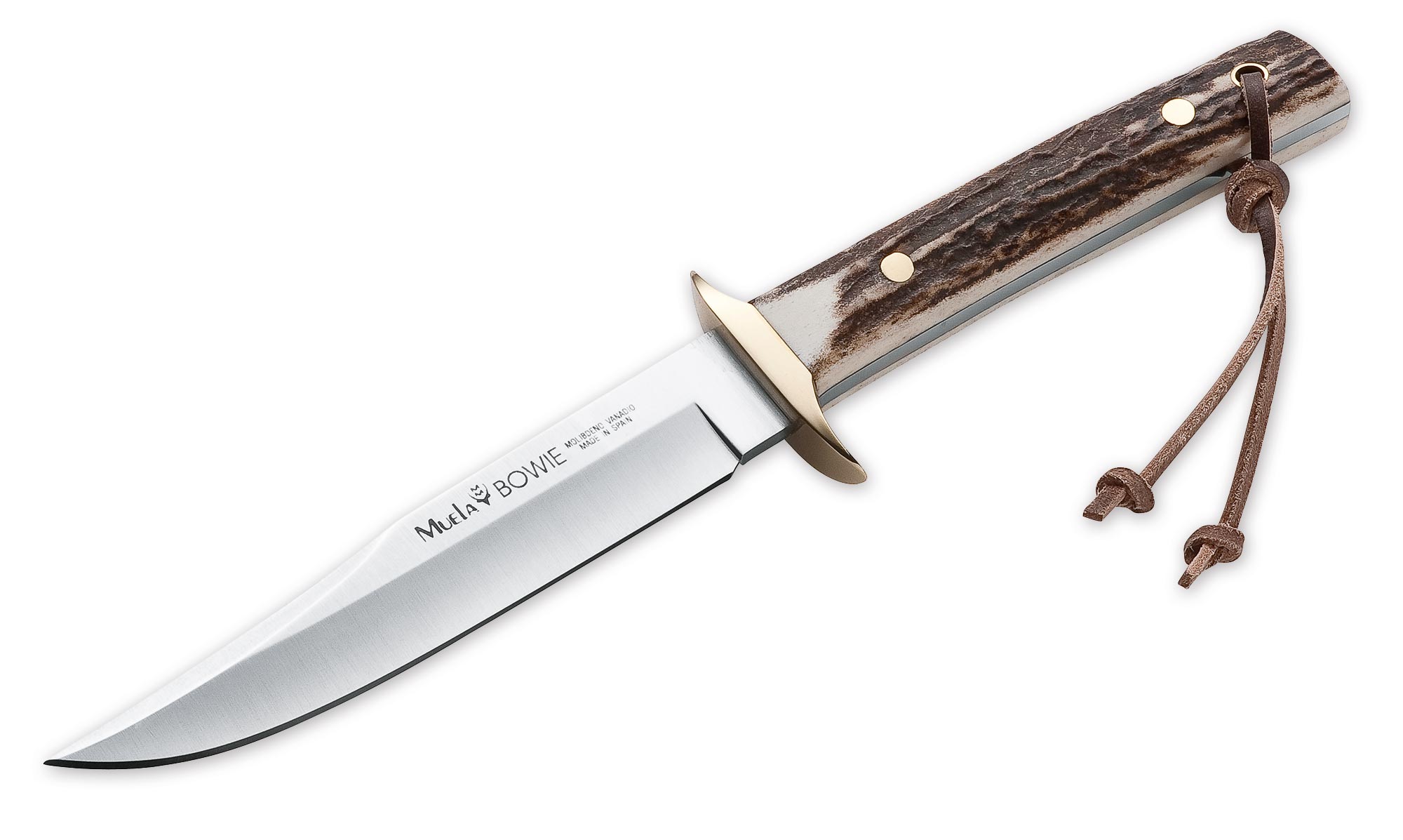 Bowie Medium Bowie Medium