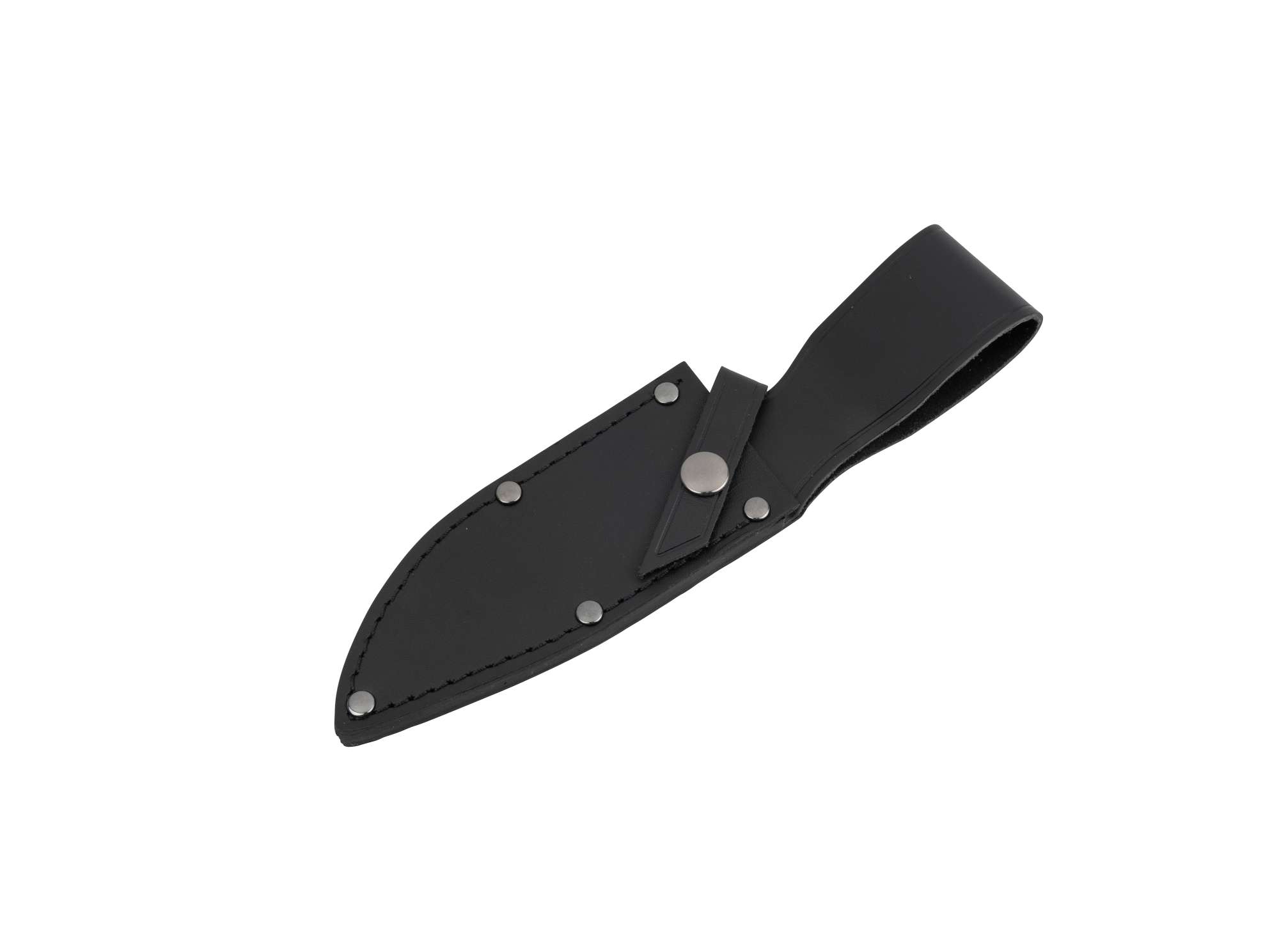 Lederscheide Schwarz Collection 2021