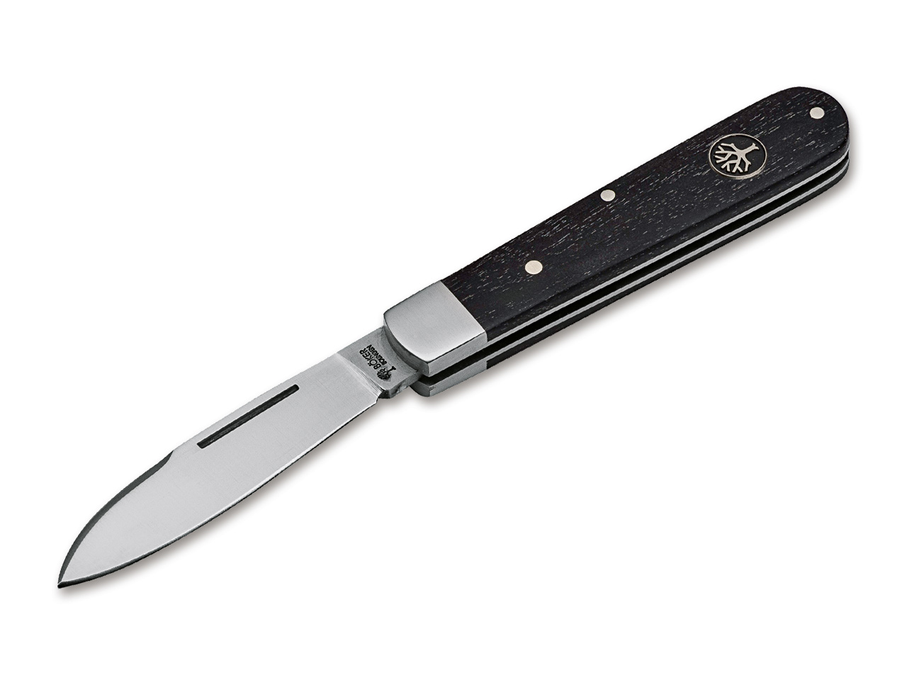 Barlow Prime Hainbuche