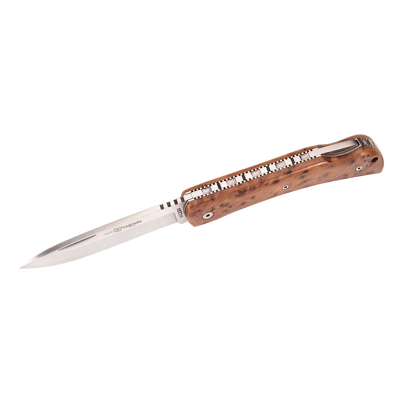 Taschenmesser CAMPANA THUJA