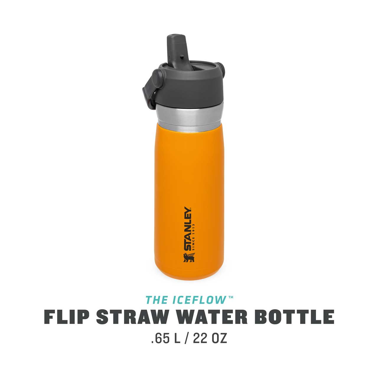 IceFlow Flip Straw Water Bottle 0.65l