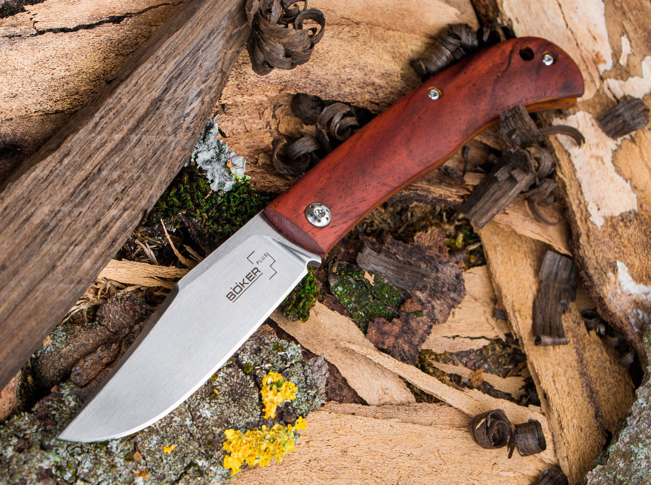 Slack Cocobolo