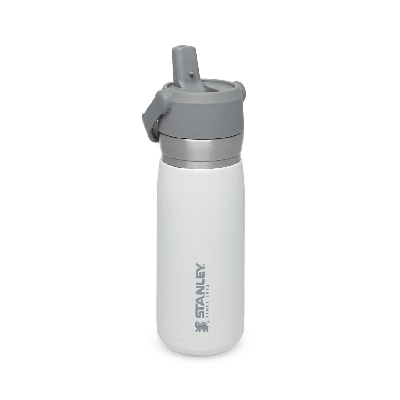 IceFlow Flip Straw Water Bottle 0.65l