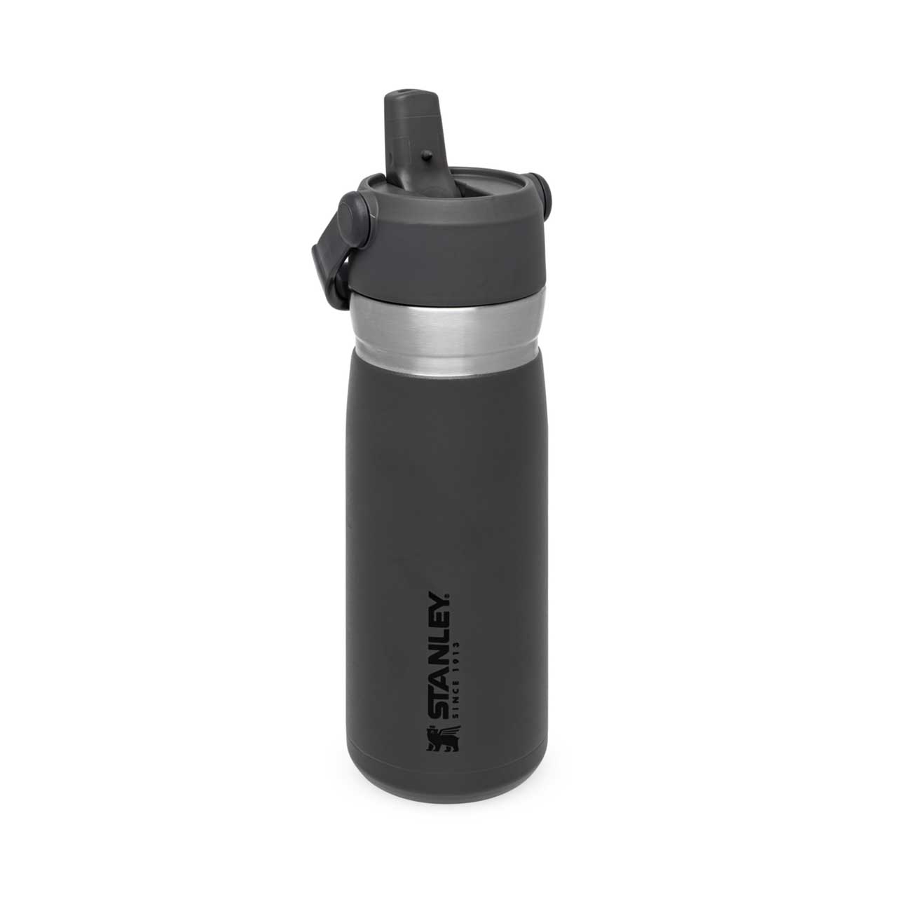 IceFlow Flip Straw Water Bottle 0.65l