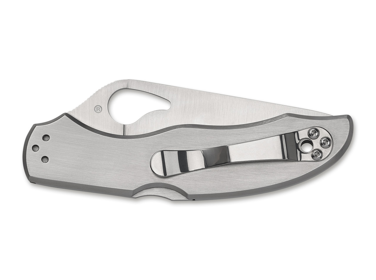 Harrier 2 Stainless Steel